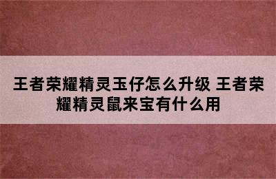 王者荣耀精灵玉仔怎么升级 王者荣耀精灵鼠来宝有什么用